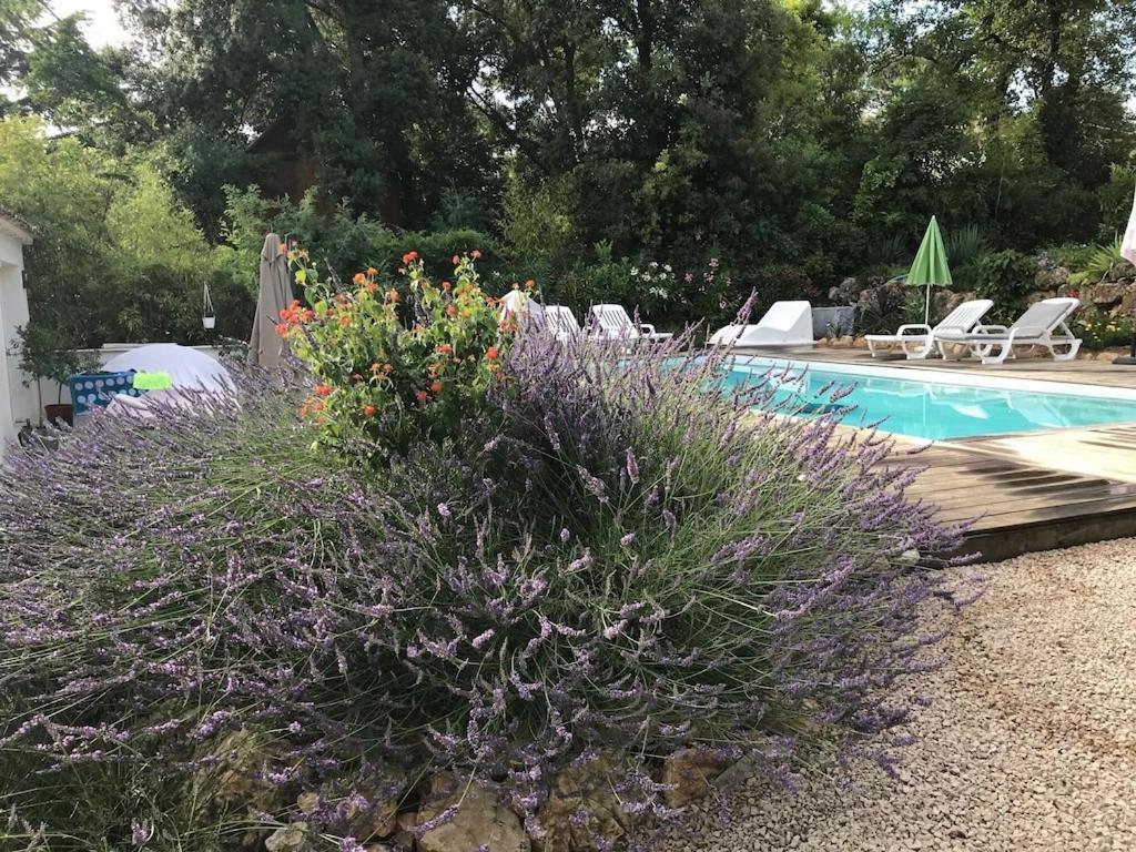 Villa Oha Close Cannes,Nice, Valbonne , Opio Roquefort Les Pins Exterior foto