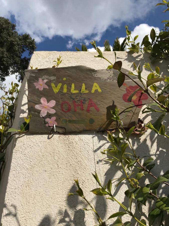Villa Oha Close Cannes,Nice, Valbonne , Opio Roquefort Les Pins Exterior foto
